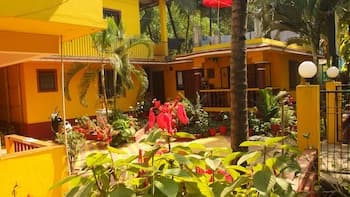 Yellow House - Main