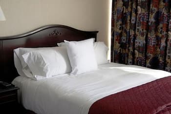 Airport Hotel Mayank Residency - Main