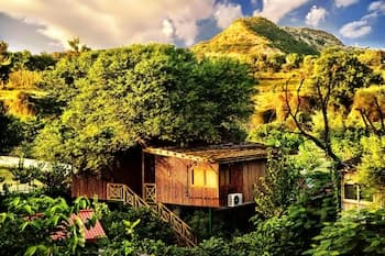 The Tree House Resort - Main
