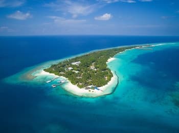 Niva Kuramathi Maldives - Main
