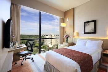 Momentus Hotel Alexandra - Main
