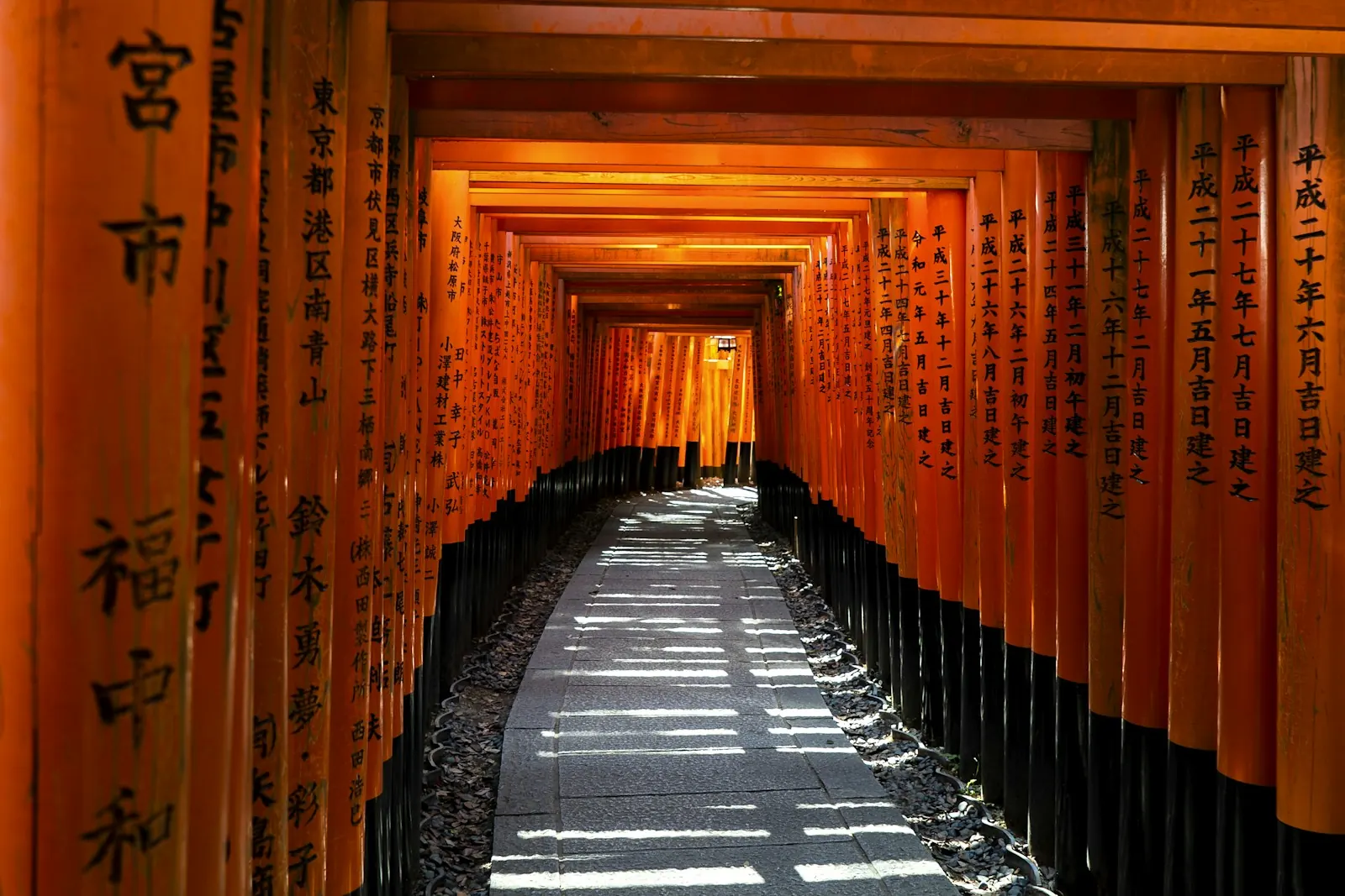 Tours in Kyoto